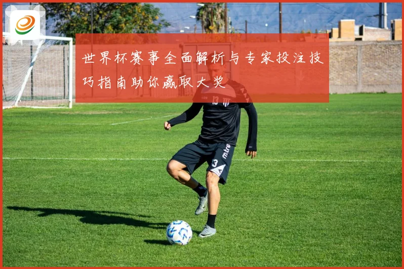 世界杯赛事全面解析与专家投注技巧指南助你赢取大奖